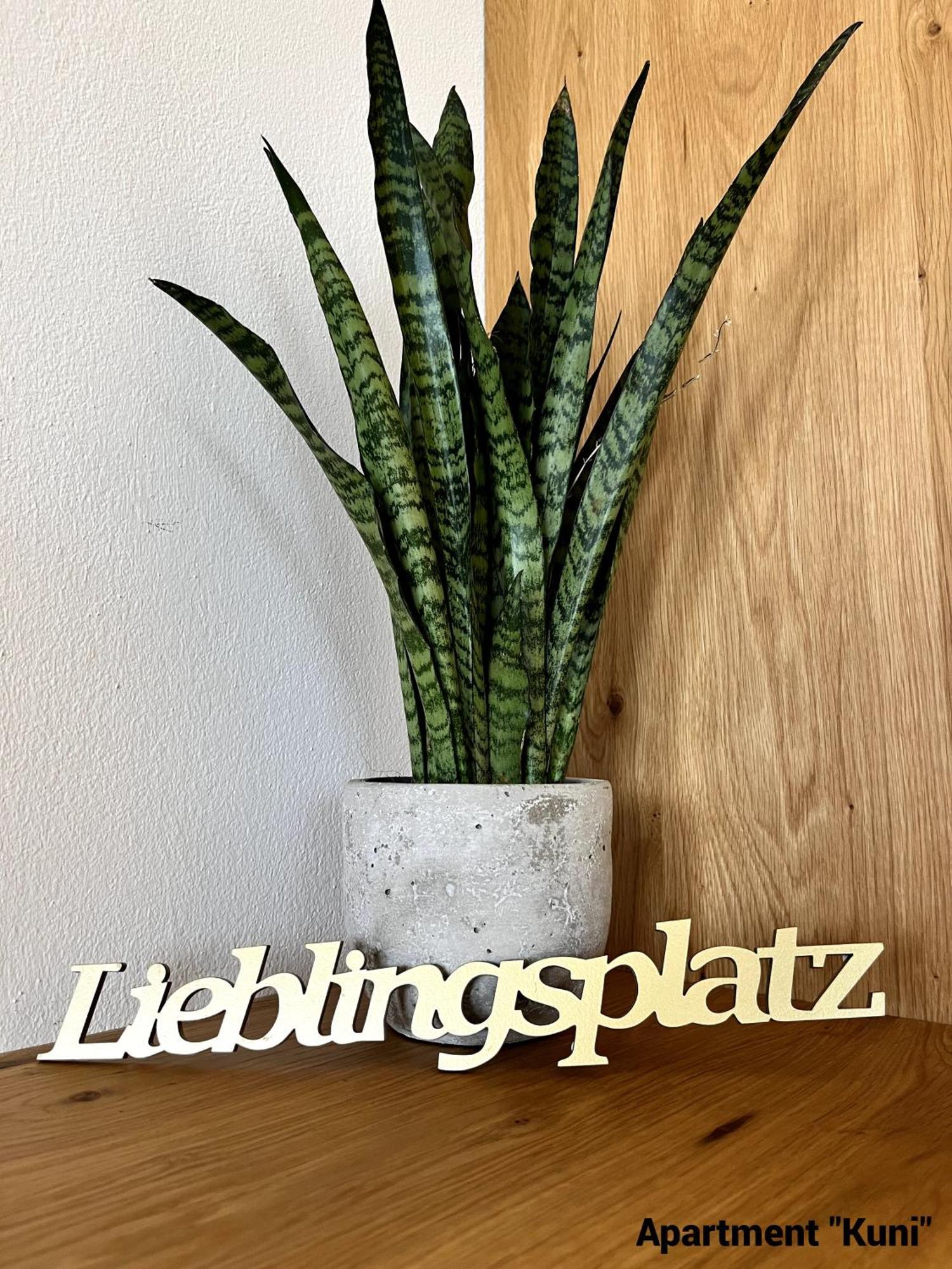 Apartment Der Wenger Werfenweng